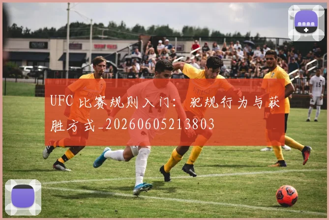 UFC 比赛规则入门:犯规行为与获胜方式_20260605213803