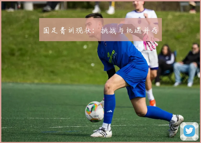 国足青训现状:挑战与机遇并存